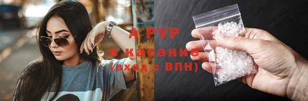 ПСИЛОЦИБИНОВЫЕ ГРИБЫ Дмитровск
