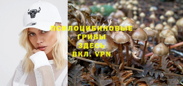 MESCALINE Дмитров