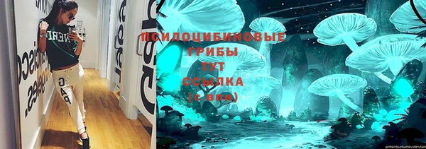 ПСИЛОЦИБИНОВЫЕ ГРИБЫ Дмитровск